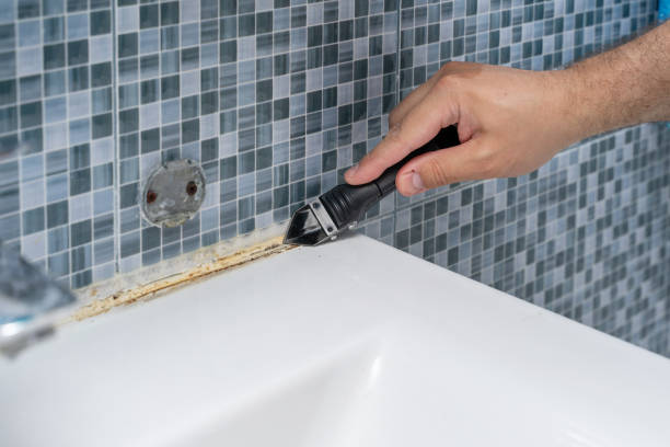 Best Emergency Mold Removal  in Wolf Trap, VA